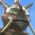 バット星人