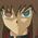 遊城十代02