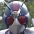 バイオR2